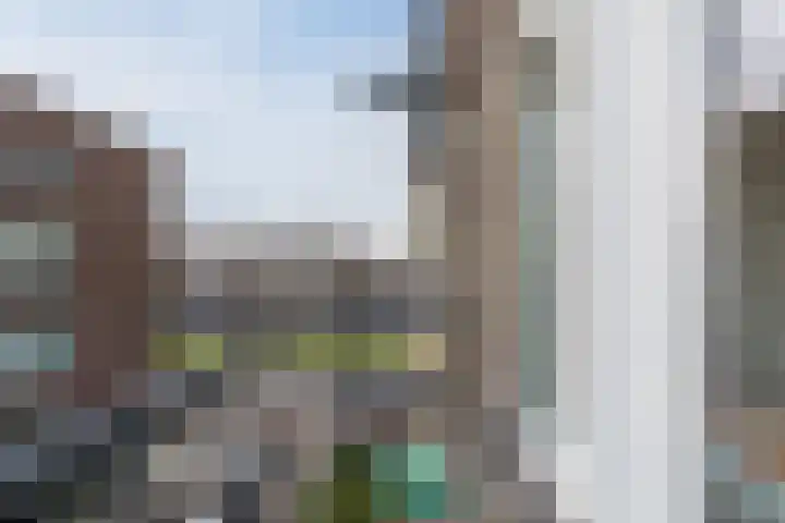 Sonmansstraat 113 B 03 Rotterdam thumbnail 31