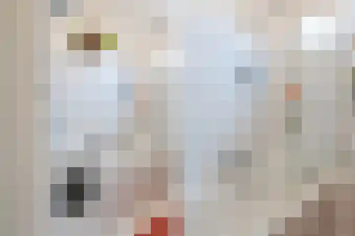 Sonmansstraat 113 B 03 Rotterdam thumbnail 32