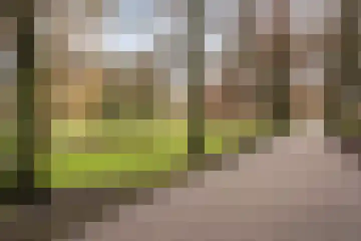 Sonmansstraat 113 B 03 Rotterdam thumbnail 41