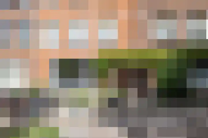 Sonmansstraat 132 B 02 in Rotterdam