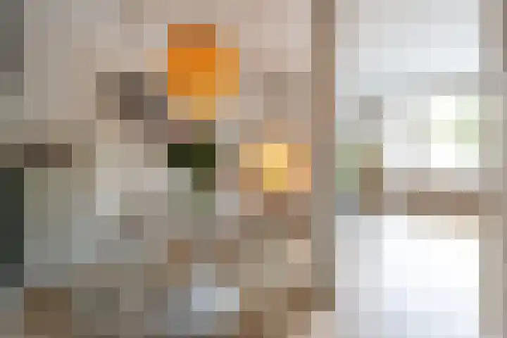 Sonmansstraat 132 B 02 Rotterdam thumbnail 15
