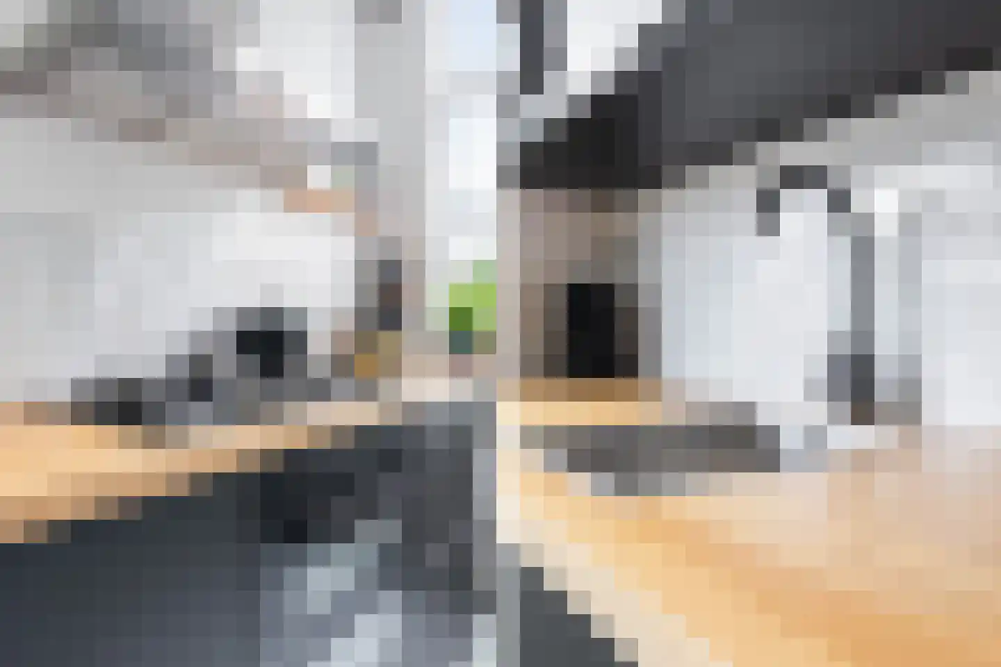 Sonmansstraat 132 B 02 Rotterdam thumbnail 16