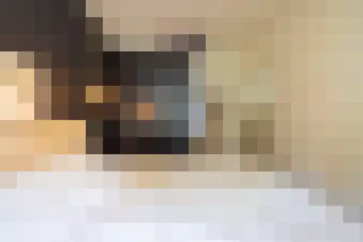Sonmansstraat 132 B 02 Rotterdam thumbnail 20