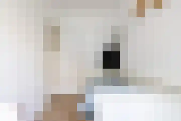Sonmansstraat 132 B 02 Rotterdam thumbnail 22