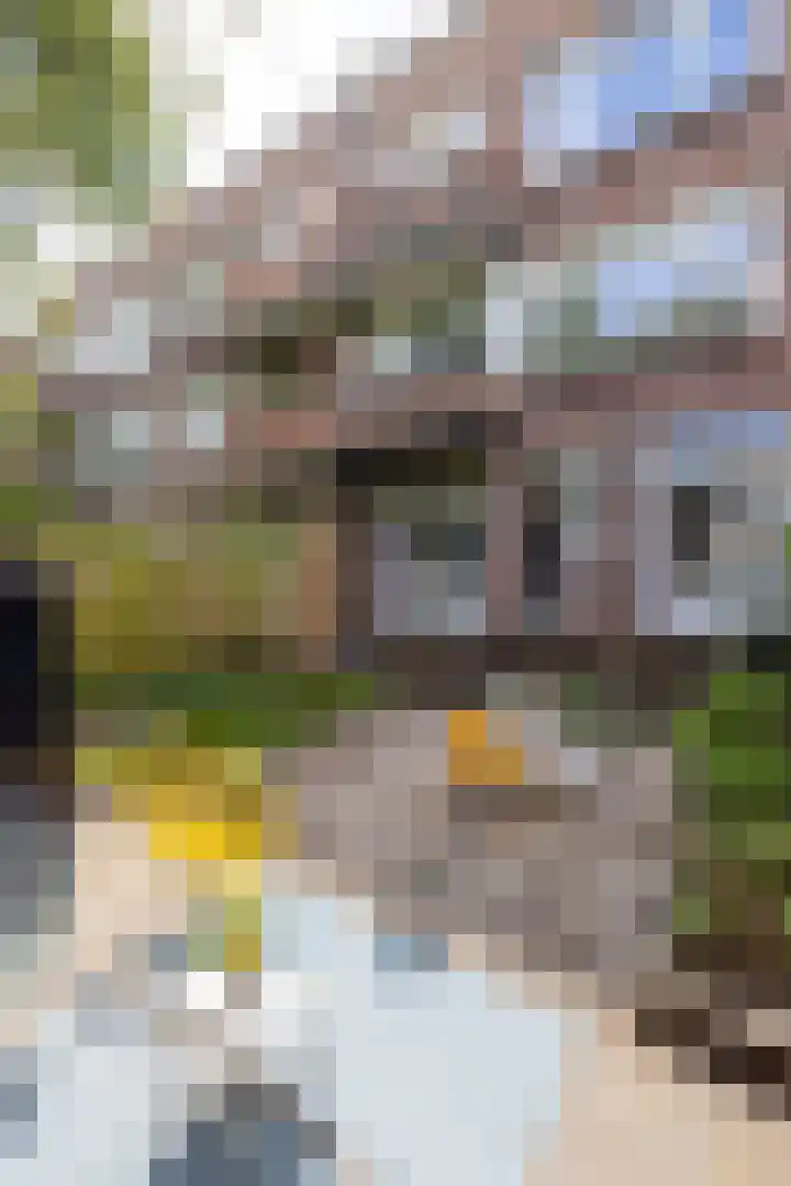 Sonmansstraat 132 B 02 Rotterdam thumbnail 25
