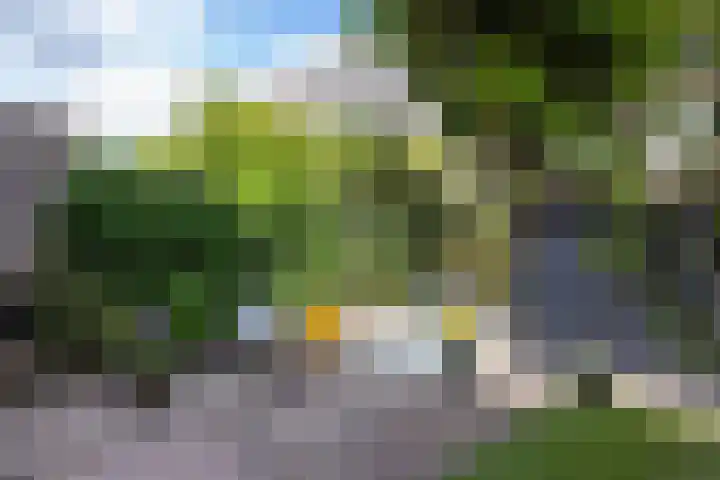Sonmansstraat 132 B 02 Rotterdam thumbnail 28