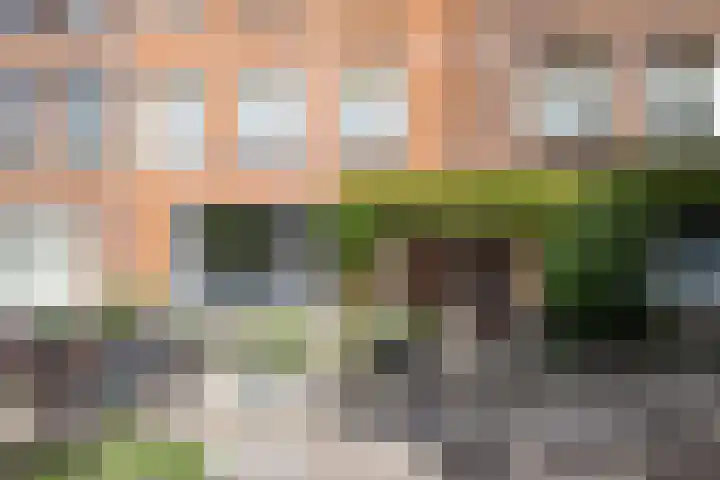 Sonmansstraat 132 B 02 Rotterdam thumbnail 34