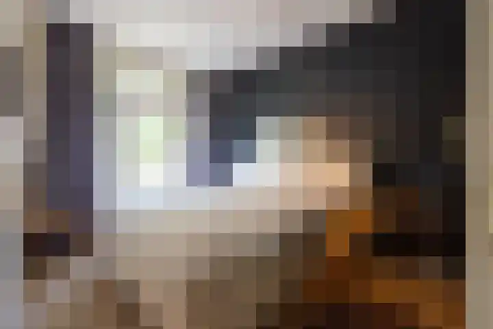 Sonmansstraat 132 B 02 Rotterdam thumbnail 4