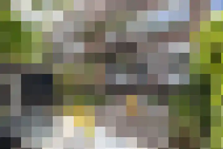 Sonmansstraat 132 B 02 Rotterdam thumbnail 5