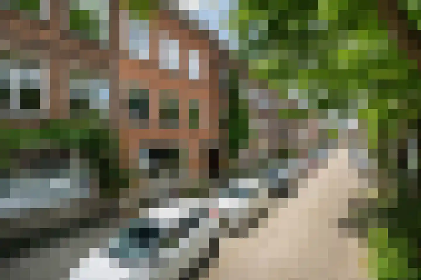 Sonmansstraat 136 B 02 Rotterdam thumbnail 19