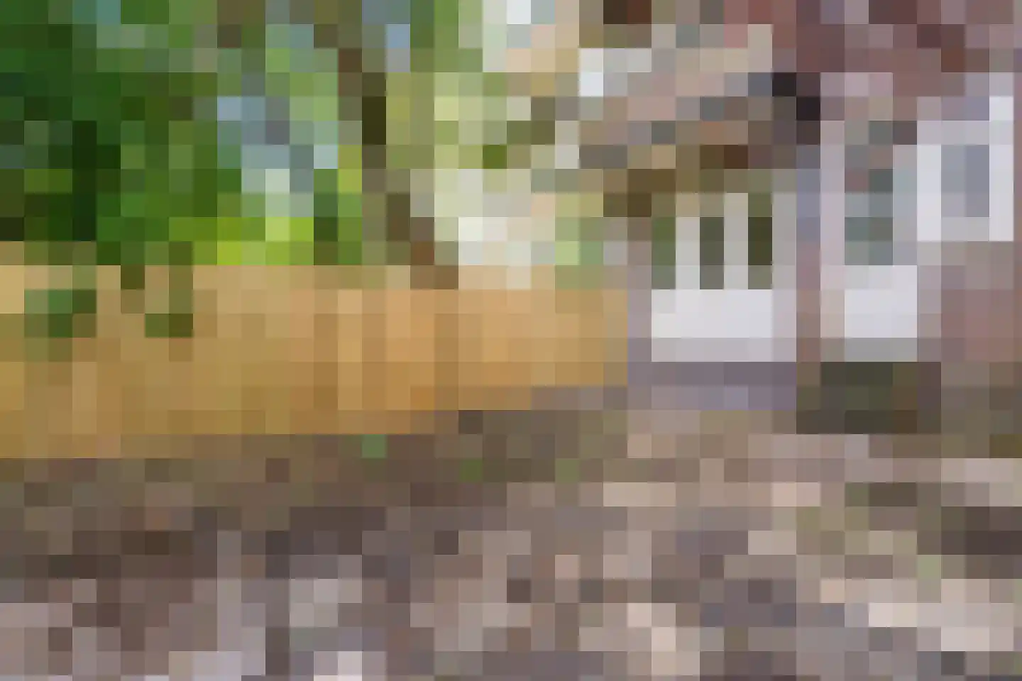 Sonmansstraat 140 B 01 Rotterdam thumbnail 32