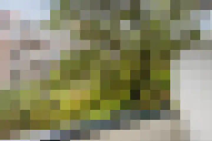 Sonmansstraat 140 B 02 Rotterdam thumbnail 19
