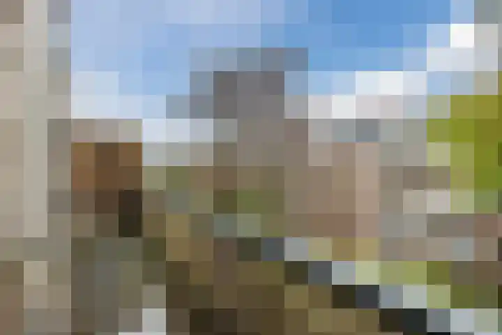 Sonmansstraat 140 B 02 Rotterdam thumbnail 28
