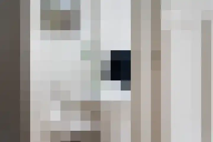 Sonmansstraat 17 A 01 Rotterdam thumbnail 29
