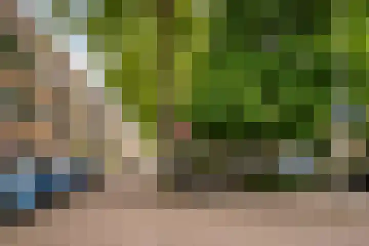 Sonmansstraat 26 B 02 Rotterdam thumbnail 35