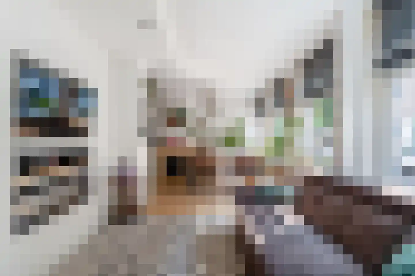 Sonmansstraat 3 A Rotterdam thumbnail 8