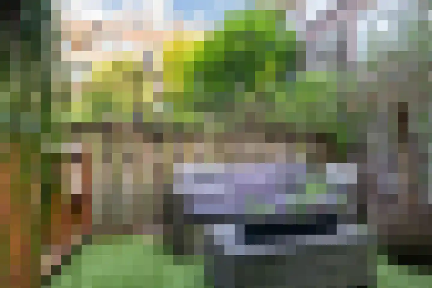 Sonmansstraat 3 B Rotterdam thumbnail 20