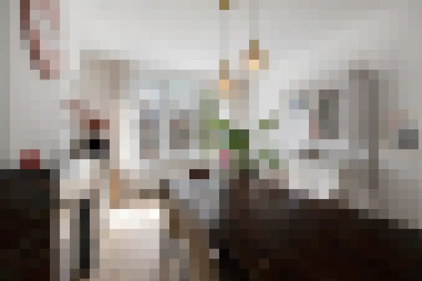 Sonmansstraat 30 B 01 Rotterdam thumbnail 10