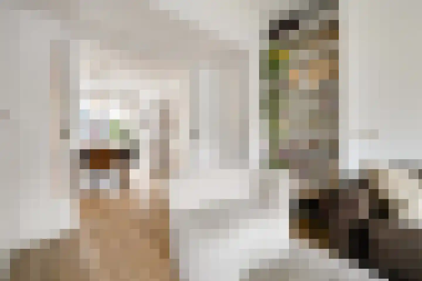 Sonmansstraat 30 B 01 Rotterdam thumbnail 15