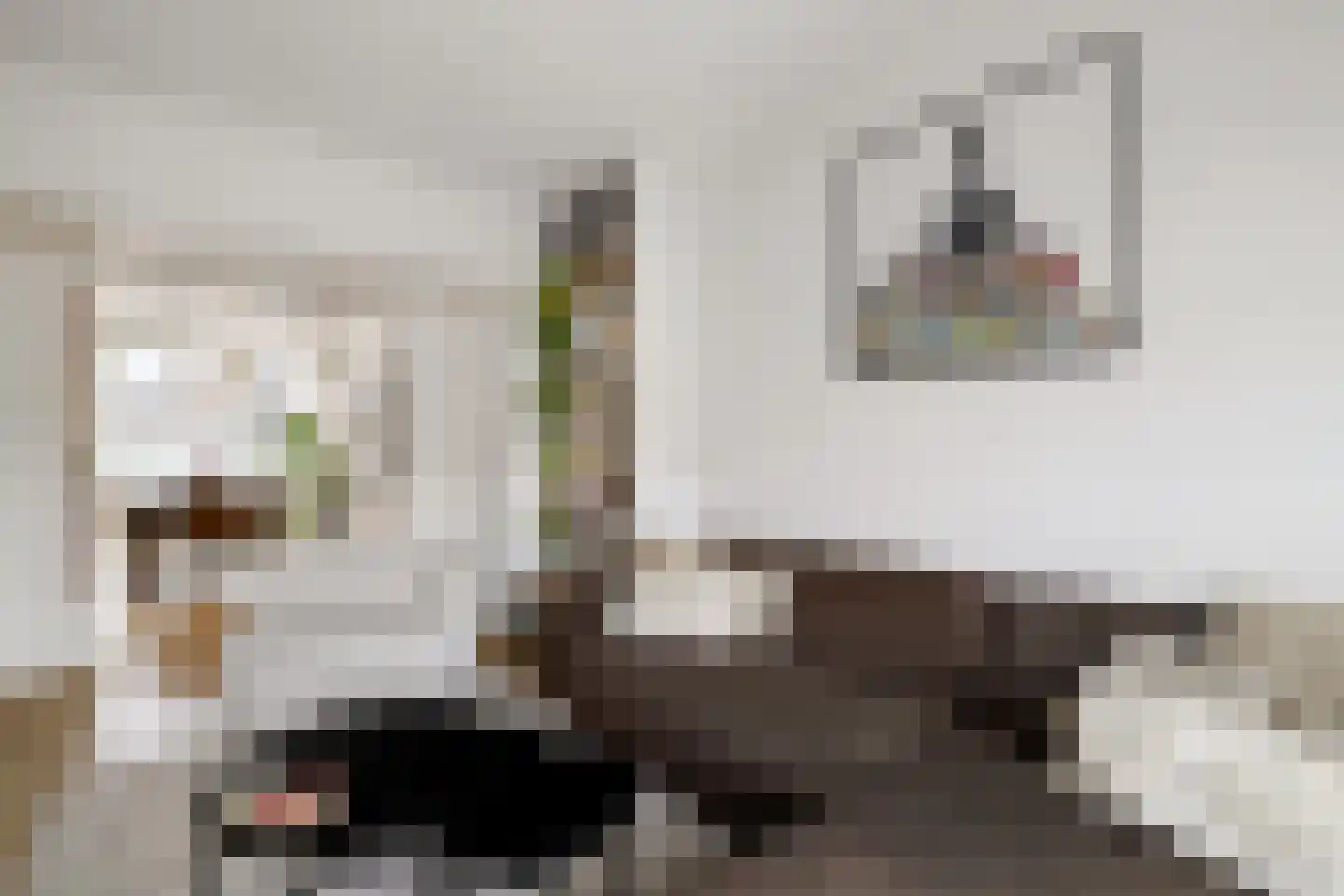 Sonmansstraat 30 B 01 Rotterdam thumbnail 16