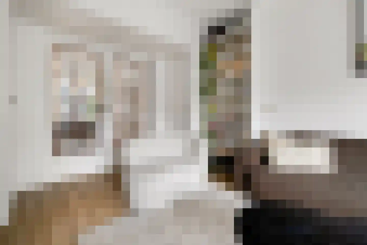 Sonmansstraat 30 B 01 Rotterdam thumbnail 17