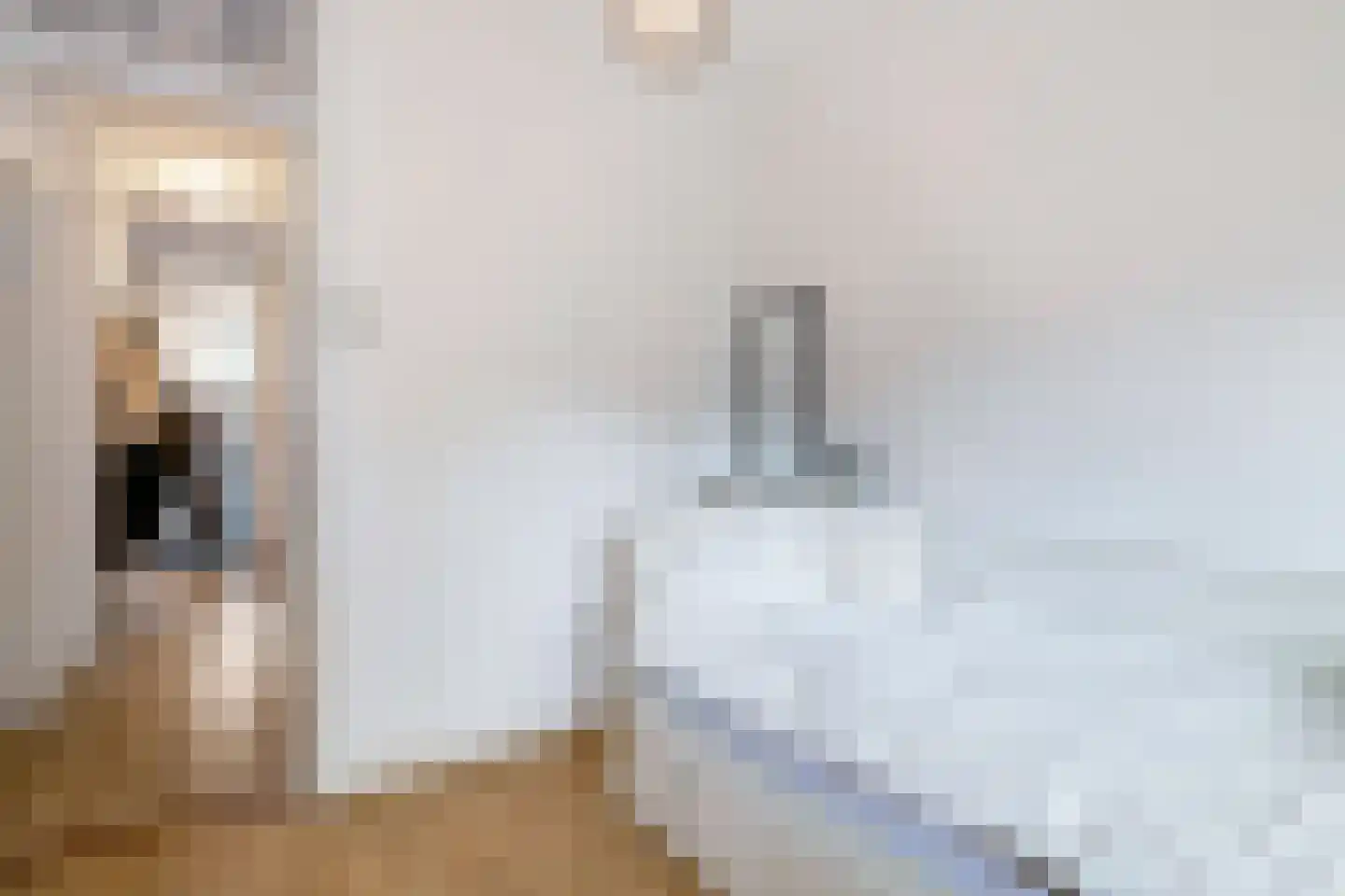Sonmansstraat 30 B 01 Rotterdam thumbnail 24