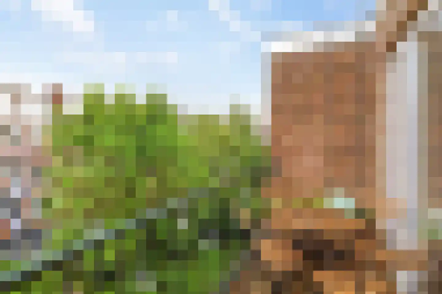 Sonmansstraat 30 B 01 Rotterdam thumbnail 29