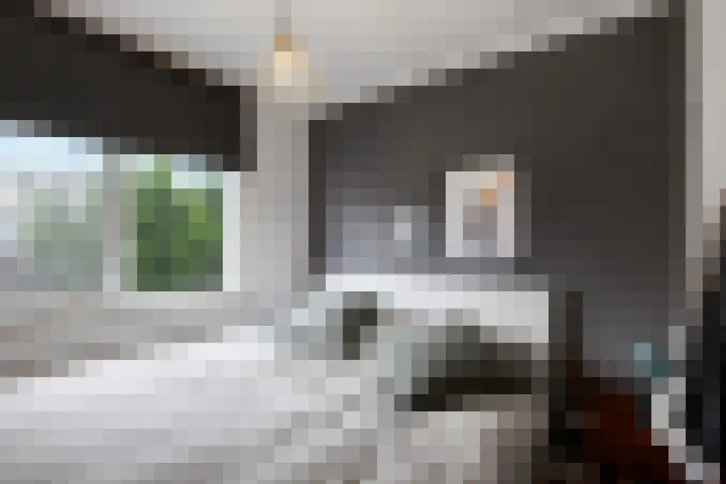 Sonmansstraat 30 B 01 Rotterdam thumbnail 34