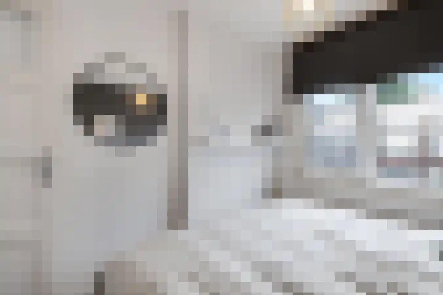 Sonmansstraat 30 B 01 Rotterdam thumbnail 35