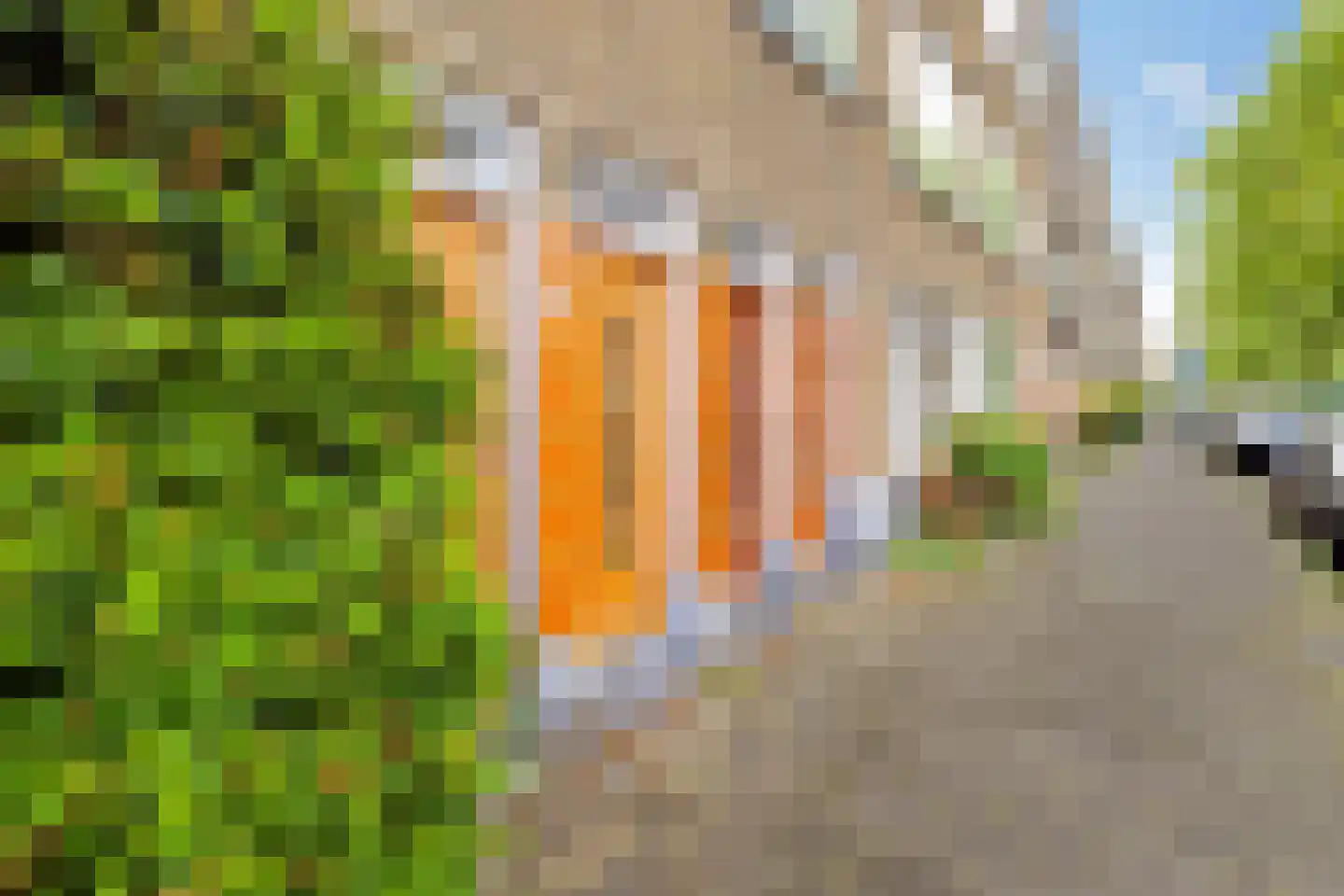 Sonmansstraat 30 B 01 Rotterdam thumbnail 6