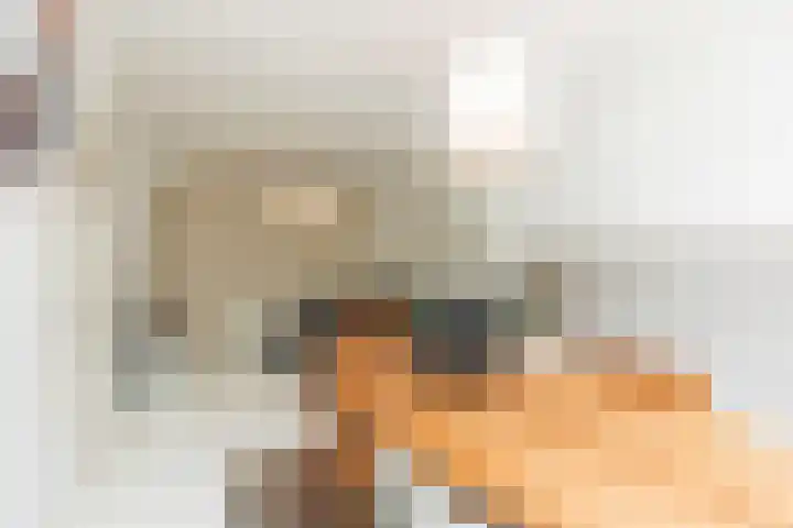 Sonmansstraat 42 B 02 Rotterdam thumbnail 7