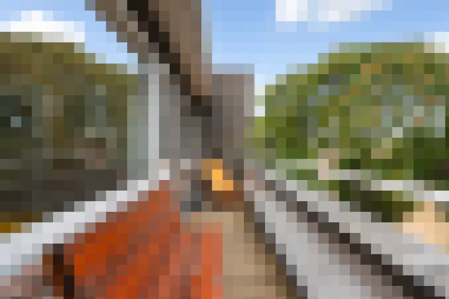 Sonmansstraat 46 B 01 Rotterdam thumbnail 20