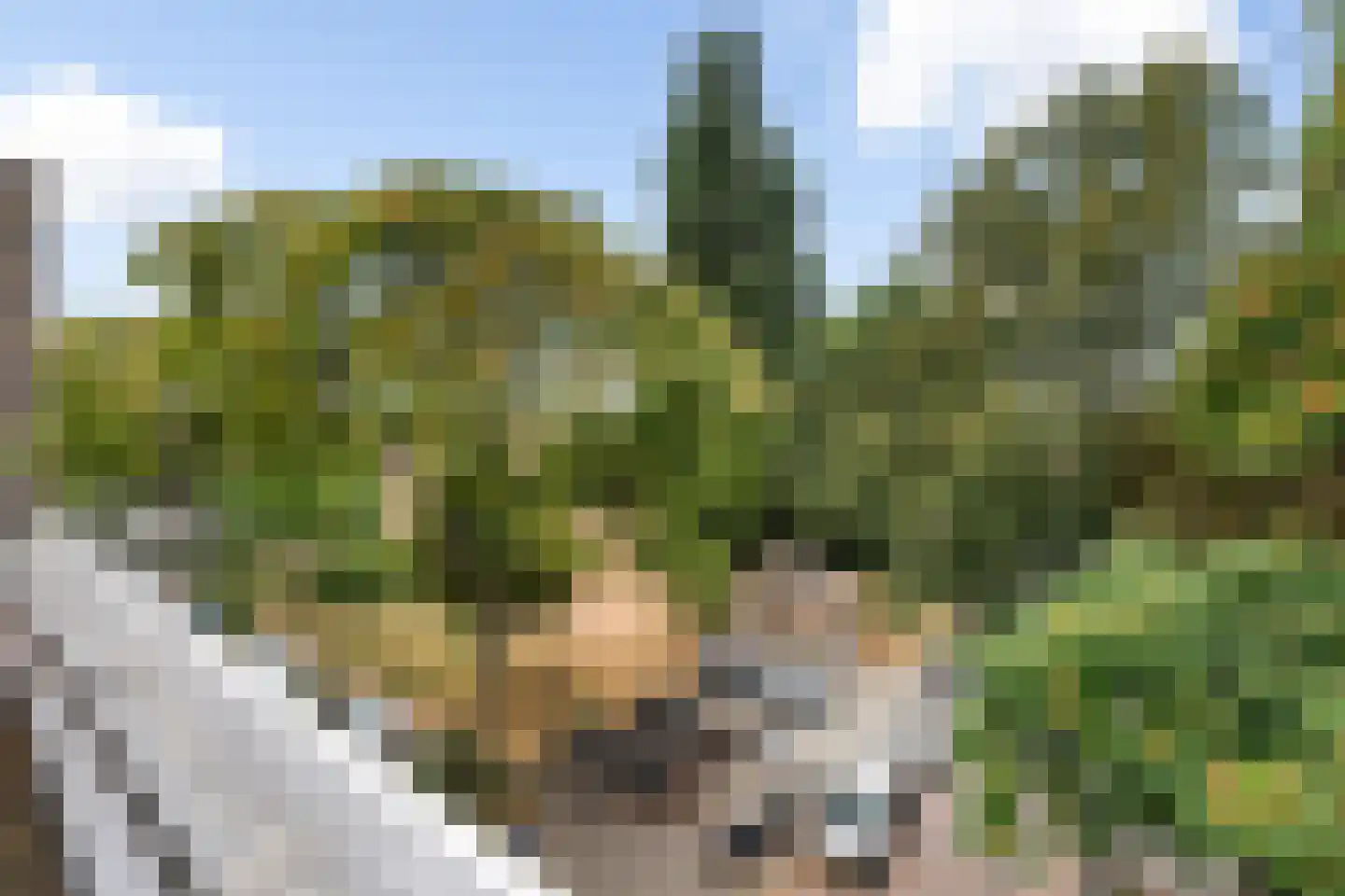 Sonmansstraat 46 B 01 Rotterdam thumbnail 21