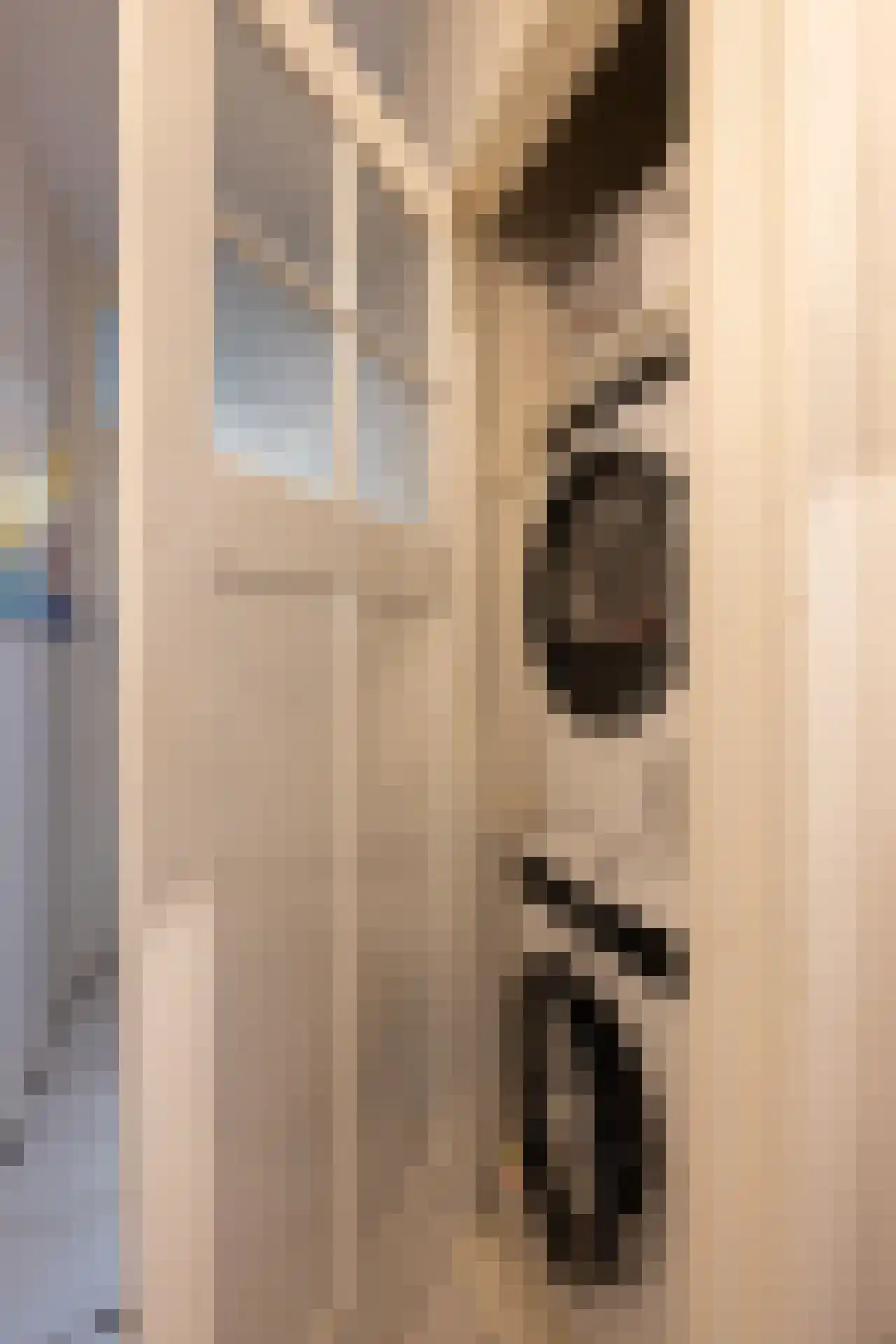 Sonmansstraat 46 B 01 Rotterdam thumbnail 22