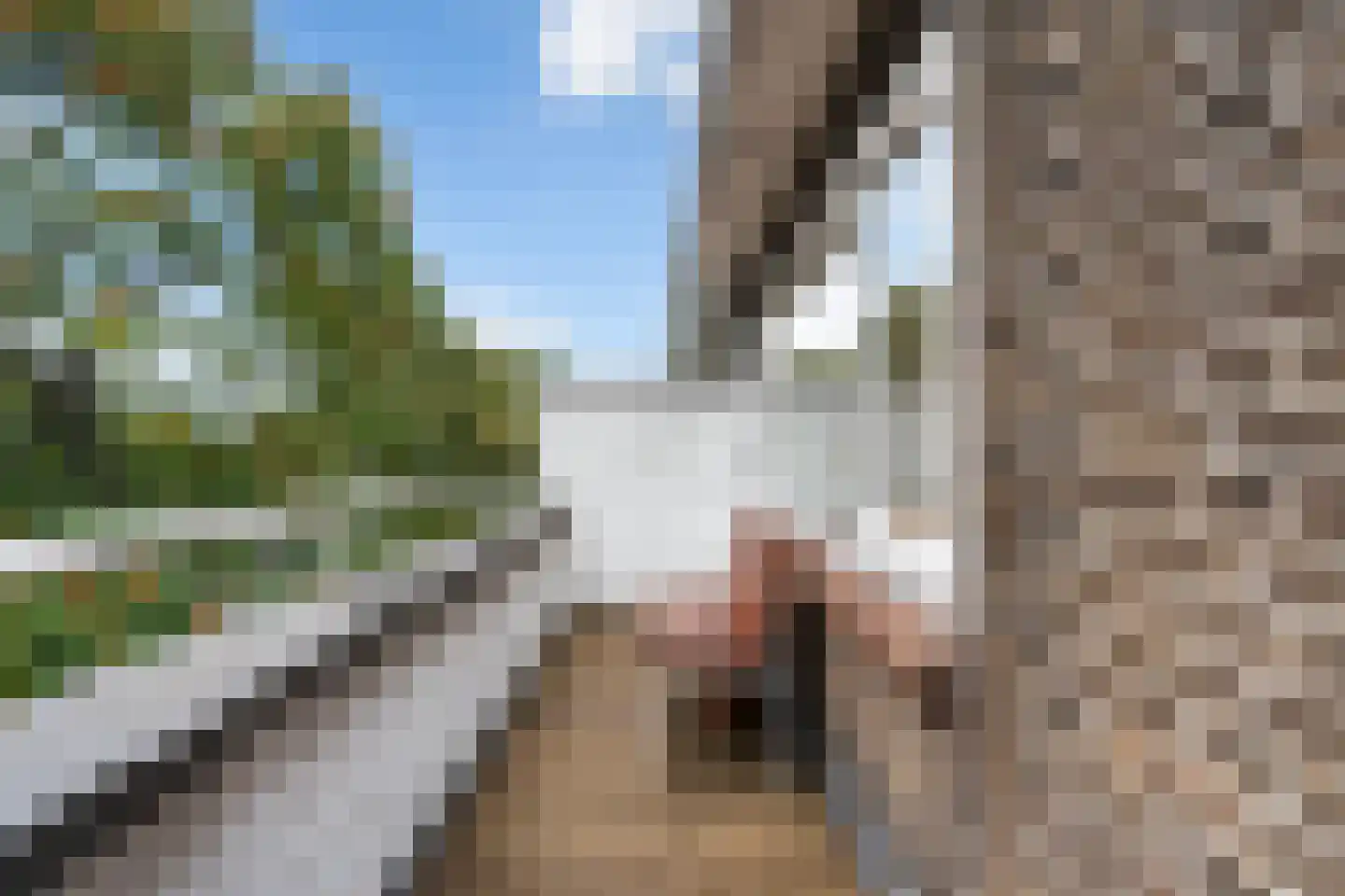 Sonmansstraat 46 B 01 Rotterdam thumbnail 23