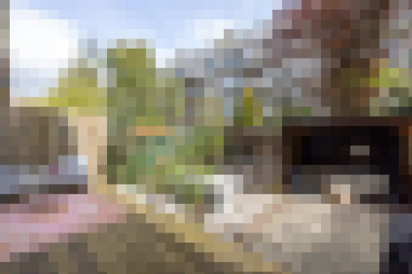 Sonmansstraat 46 B 01 Rotterdam thumbnail 25