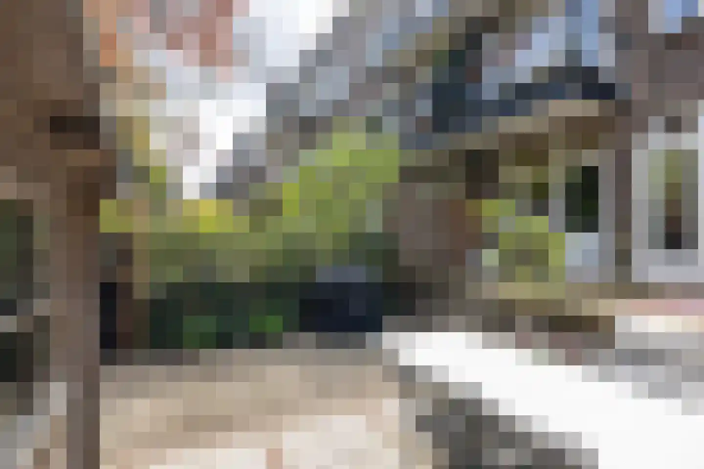 Sonmansstraat 46 B 01 Rotterdam thumbnail 27