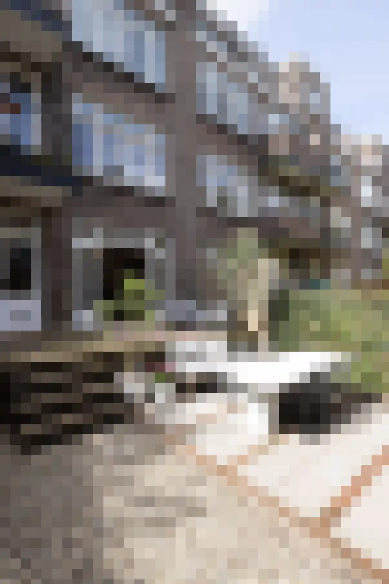 Sonmansstraat 46 B 01 Rotterdam thumbnail 29