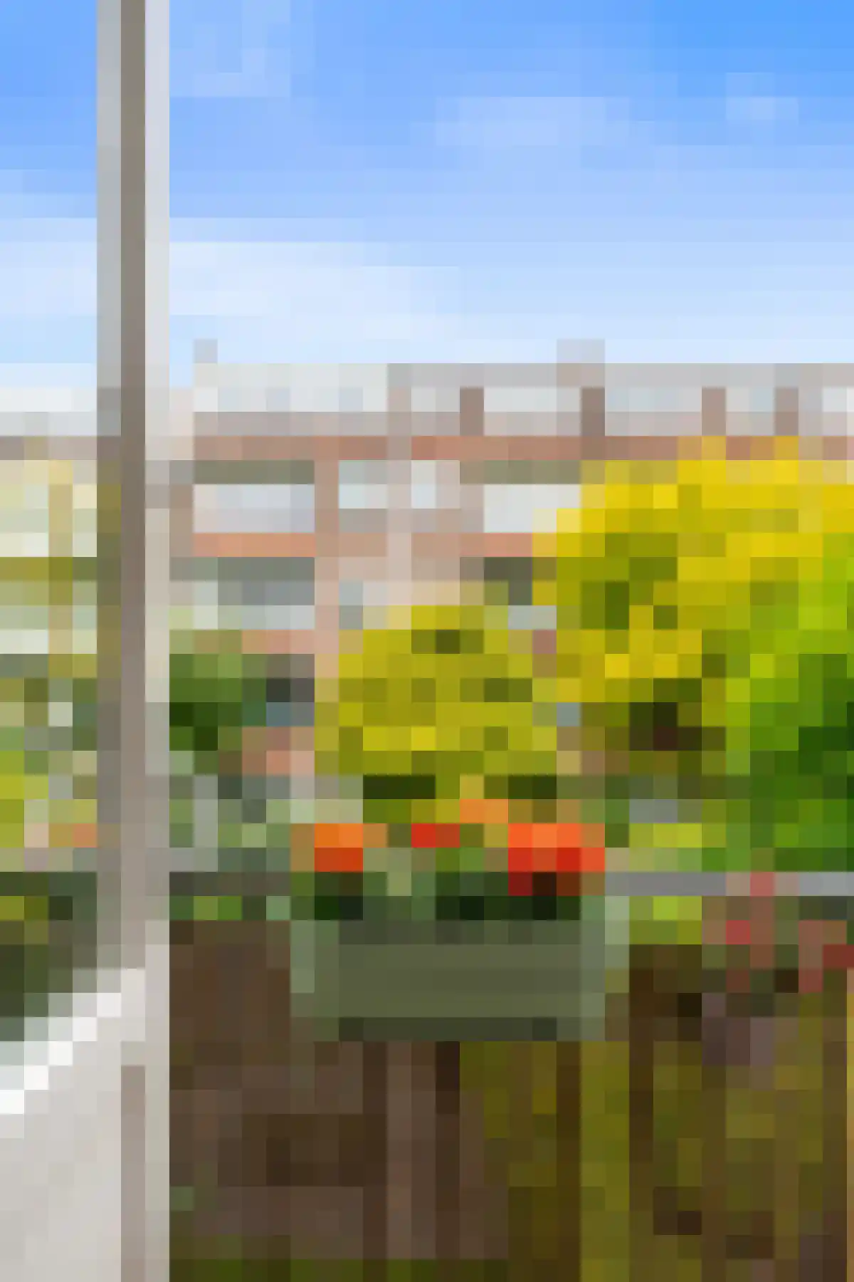 Sonmansstraat 5 B Rotterdam thumbnail 13