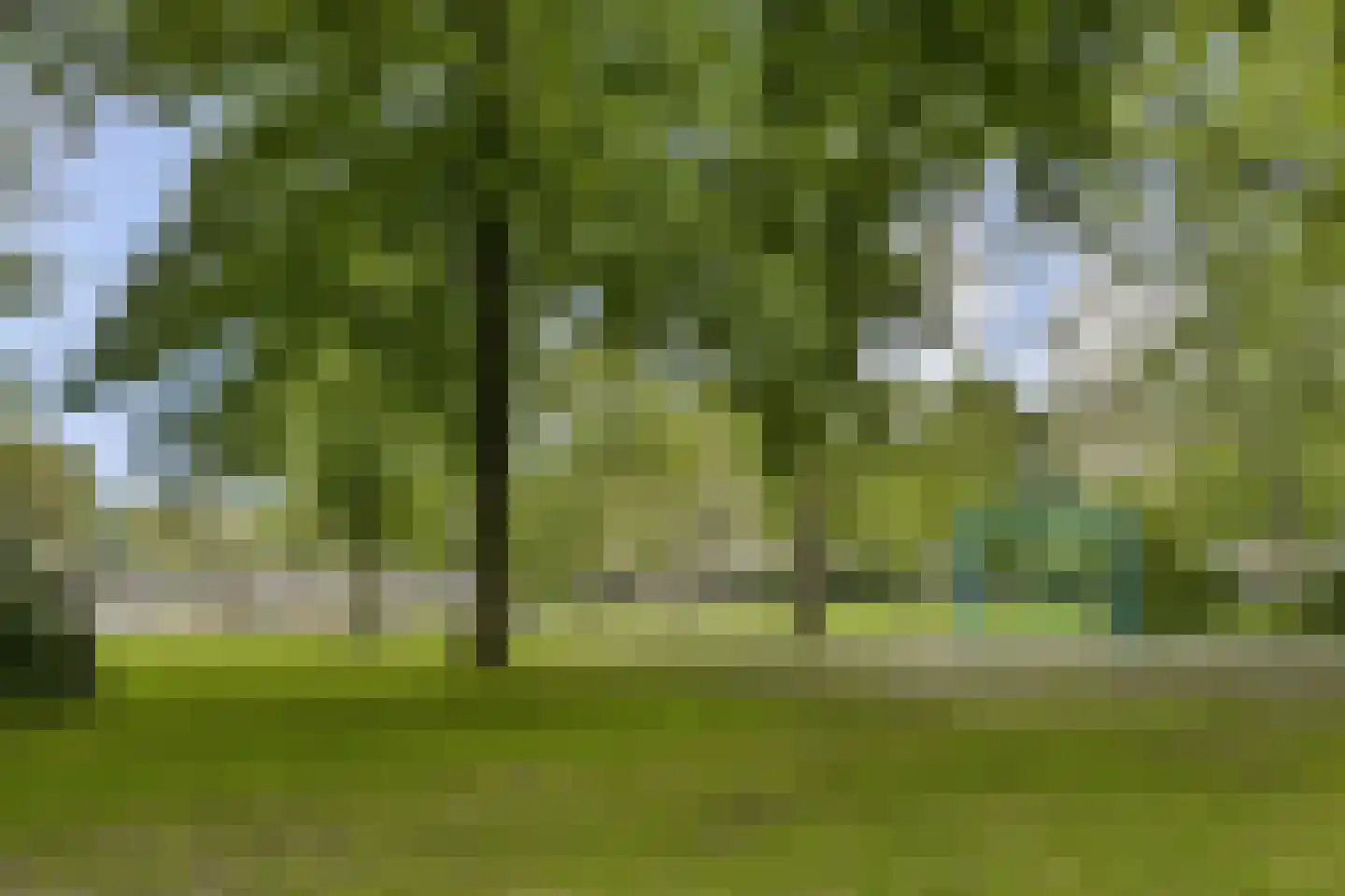 Sonmansstraat 50 A Rotterdam thumbnail 22