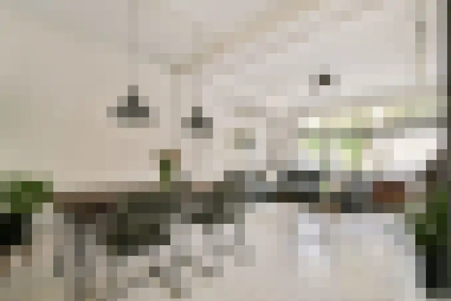 Sonmansstraat 50 A Rotterdam thumbnail 6