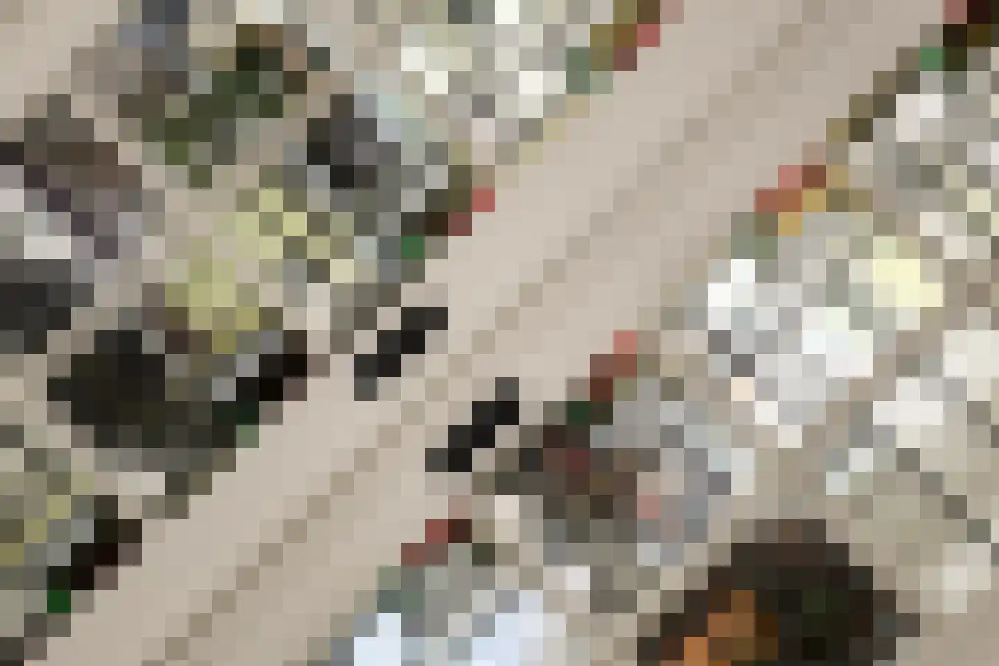 Sonmansstraat 50 A Rotterdam thumbnail 9