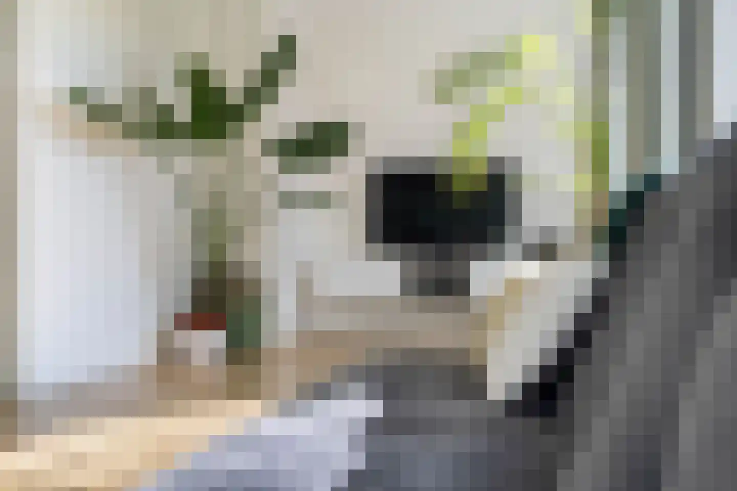 Sonmansstraat 50 B 01 Rotterdam thumbnail 13