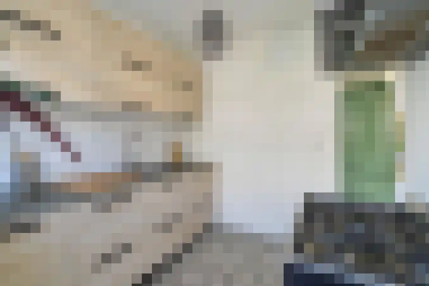 Sonmansstraat 50 B 01 Rotterdam thumbnail 24