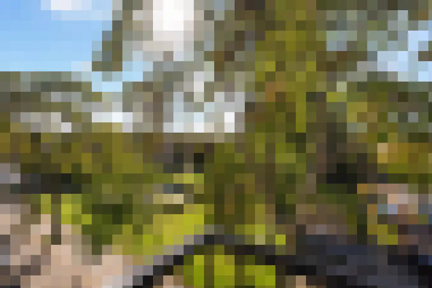 Sonmansstraat 50 B 01 Rotterdam thumbnail 33