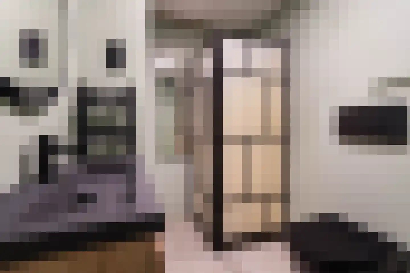 Sonmansstraat 50 B 01 Rotterdam thumbnail 38