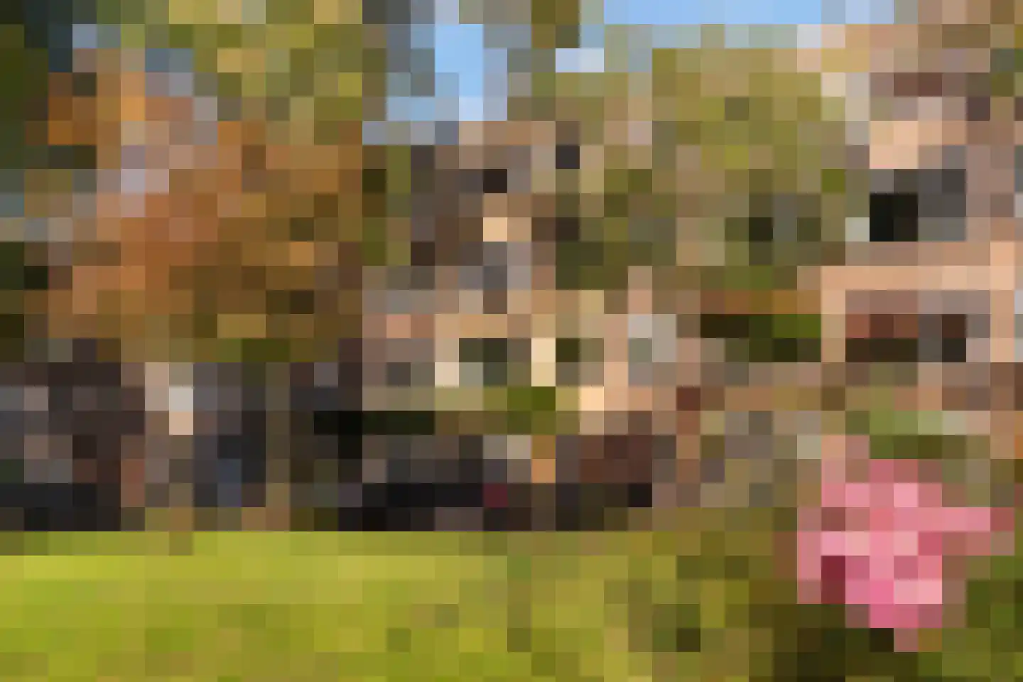Sonmansstraat 50 B 01 Rotterdam thumbnail 4
