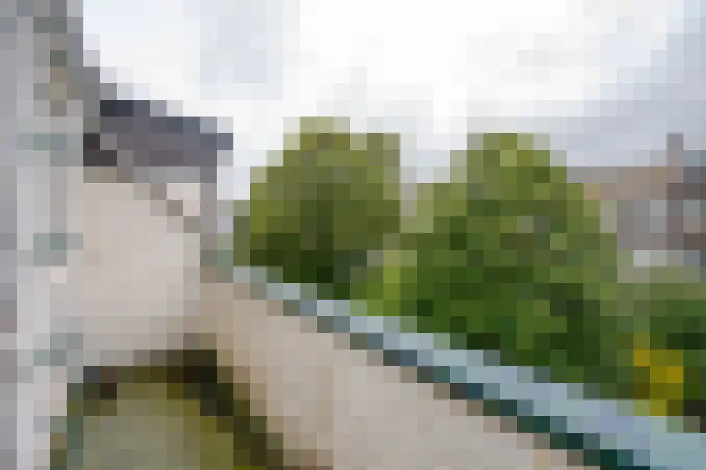 Sonmansstraat 7 B 01 Rotterdam thumbnail 21