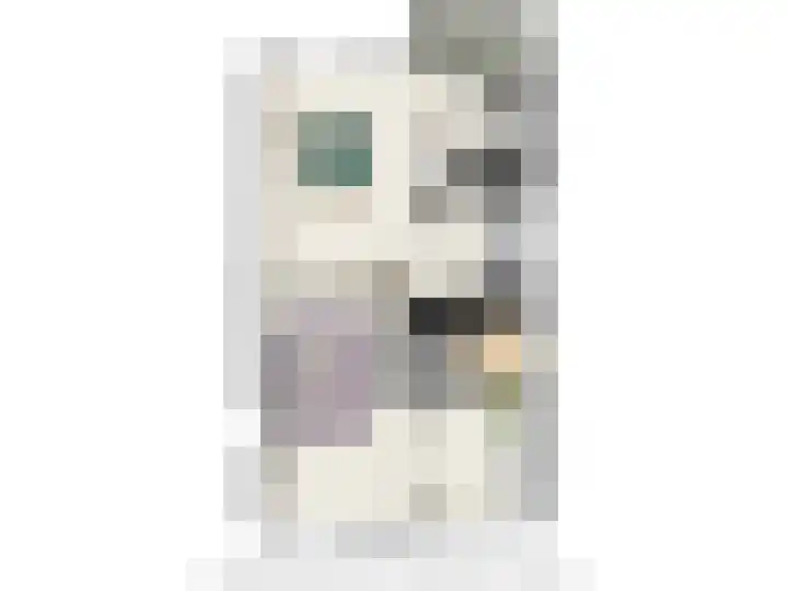 Sonmansstraat 74 A Rotterdam thumbnail 34