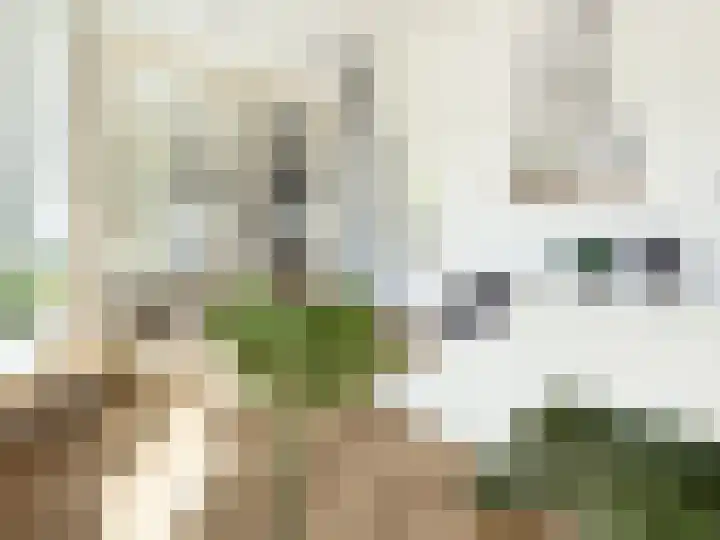 Sonmansstraat 74 A Rotterdam thumbnail 9